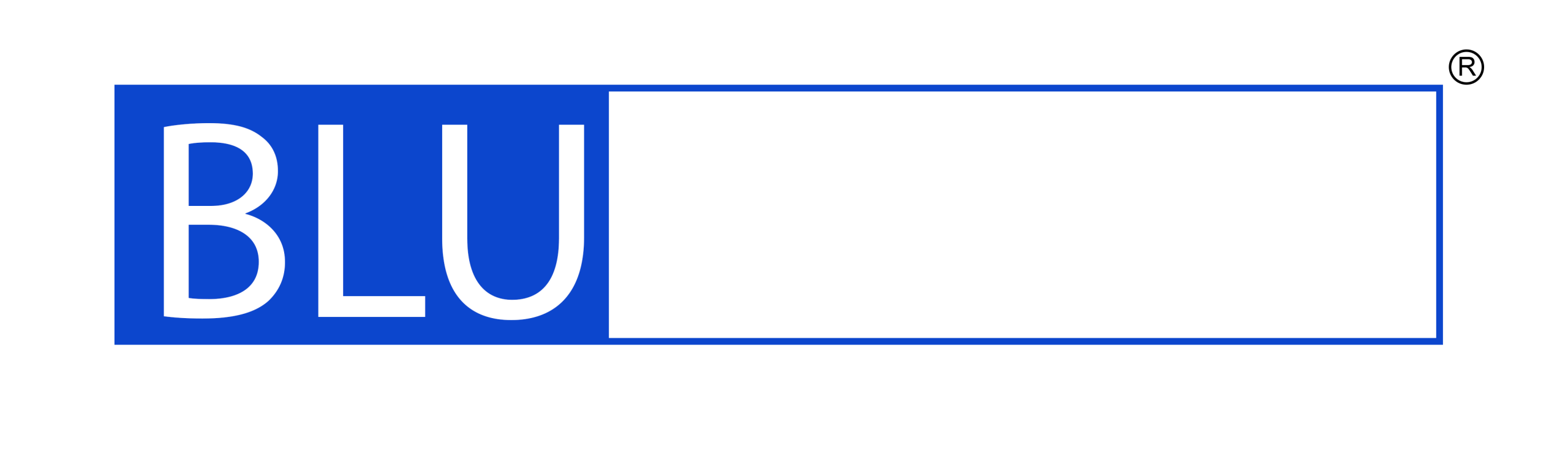 blusoul media logoWhite